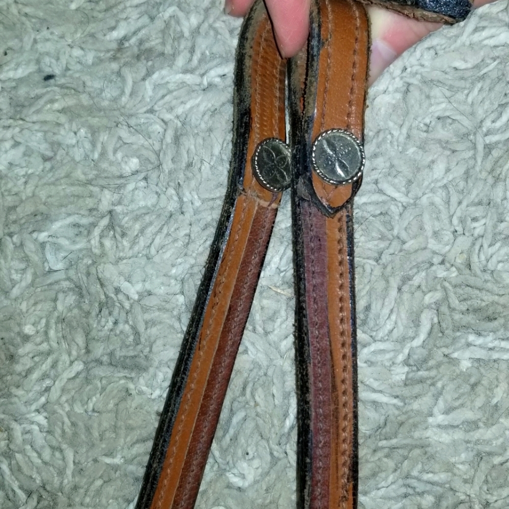 Reins